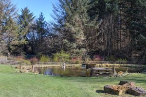 Photo 33- click for photo gallery